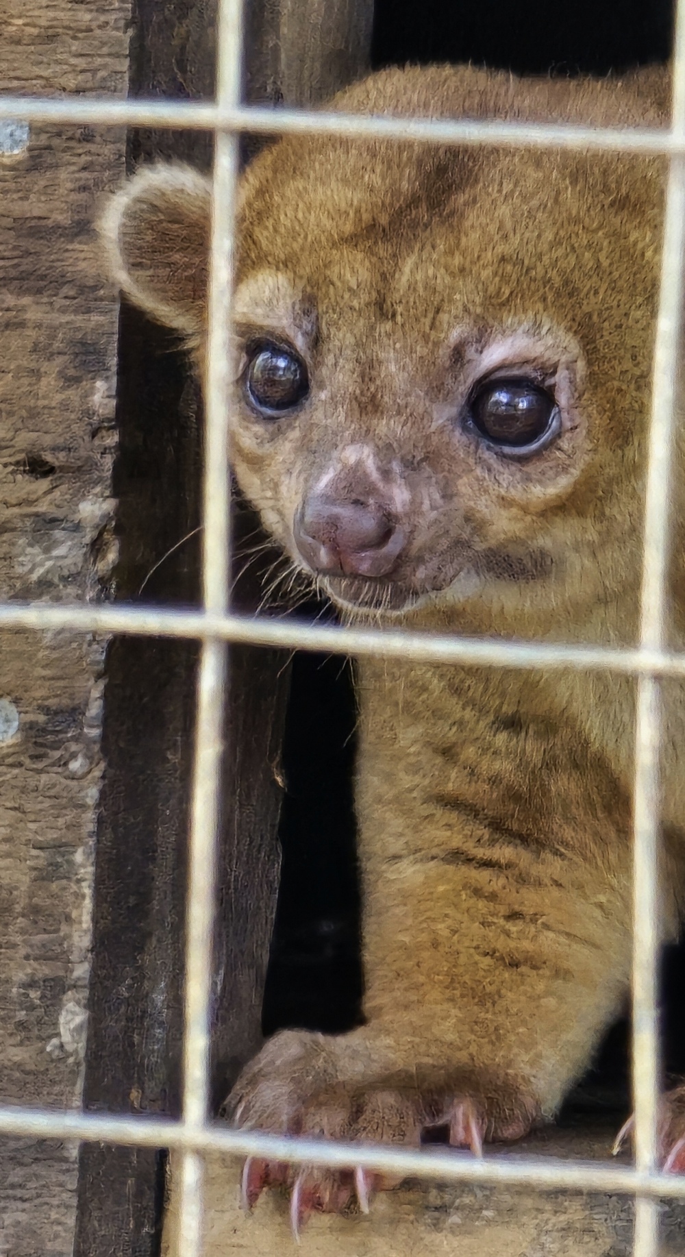 2026-04-07-D Roatan 20260407_125929_ji.jpg